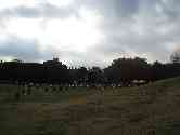 thumb_20071202avrc 006.jpg